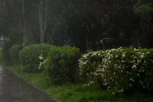  &copy;&nbsp;Фото Елены Синеок, Юга.ру