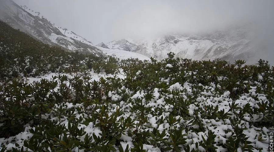  &copy;&nbsp;Фото из аккаунта www.instagram.com/funsochi