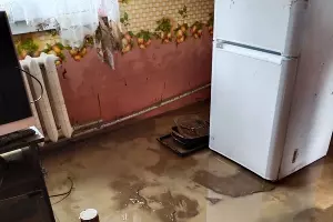  &copy;&nbsp;Фото Людмилы Долженко