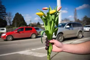 Акция "Цветочный патруль" в Краснодаре  &copy;&nbsp;Фото Елены Синеок, Юга.ру