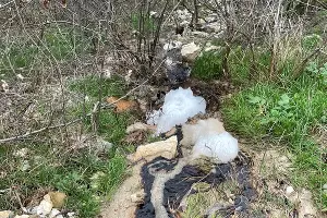  &copy;&nbsp;Фото из инстаграма &laquo;Новороссийск Today&raquo;, instagram.com/novorosstoday.info