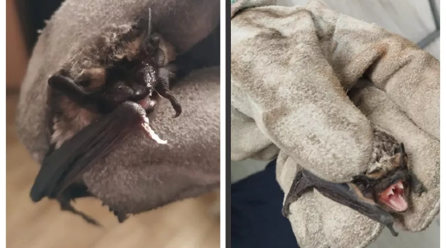  &copy;&nbsp;Скриншот из телеграм-канала начальника службы спасения Новороссийска Алексея Одерова https://t.me/alekseioderov/2316