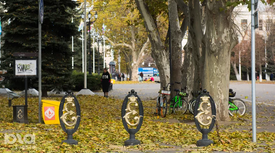  &copy;&nbsp;Фото Елены Синеок, Юга.ру