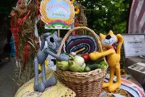  &copy;&nbsp;Фото Елены Синеок, Юга.ру