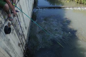 Молодой парень ловит и тут же отпускает рыбу в грязной заводи совхоза «Россия» © Фото Яры Гуляевой, Юга.ру
