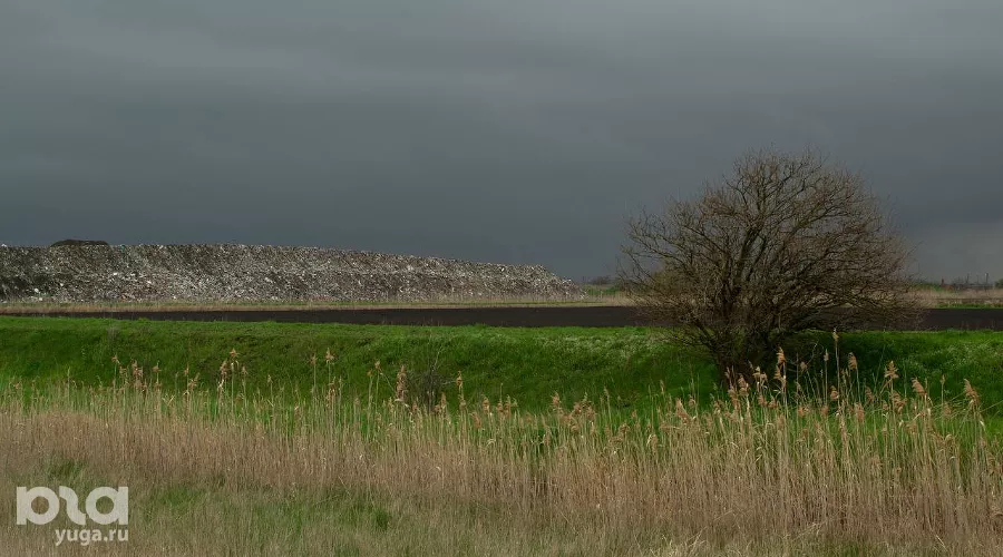 Свалка в Полтавской &copy;&nbsp;Фото Александра Гончаренко, Юга.ру