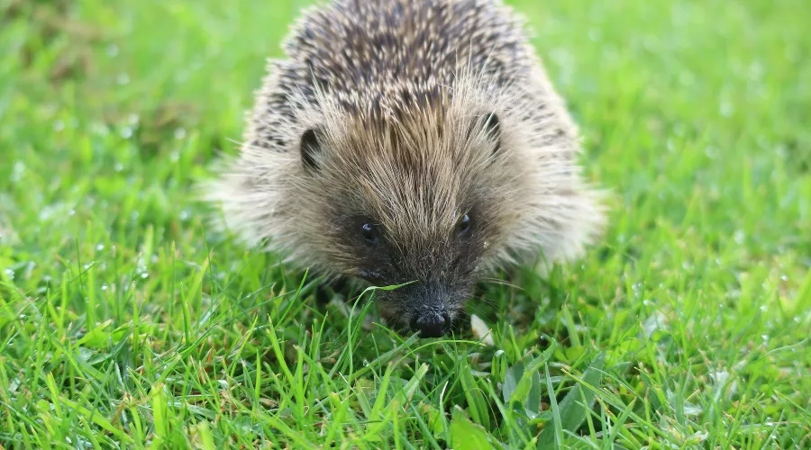  &copy;&nbsp;Фото Bill Fairs с сайта Unsplash.com