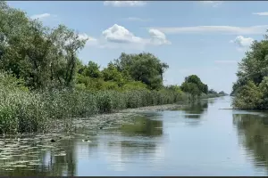  &copy;&nbsp;Скриншот из телеграм-канала администрации Крымского района https://t.me/smiKrymsk/78466