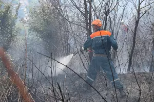  &copy;&nbsp;Фото пресс-службы ЮРПСО МЧС России