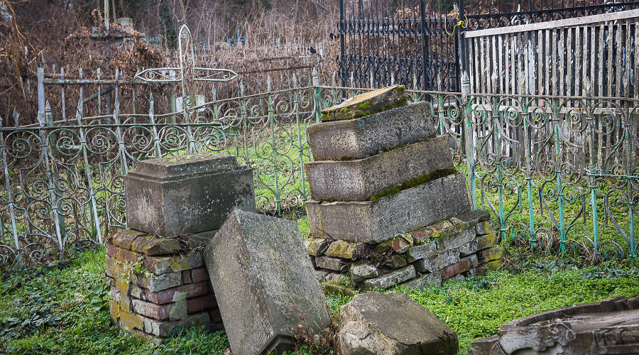  © Фото Елены Синеок, Юга.ру