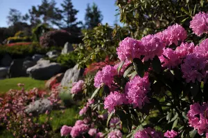  &copy;&nbsp;Фото Марины Солошко, Юга.ру