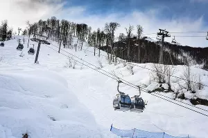  &copy;&nbsp;Фото Елены Синеок, Юга.ру