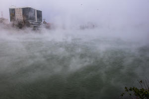 Туман в парке «Солнечный остров» © Фото Елены Синеок, Юга.ру