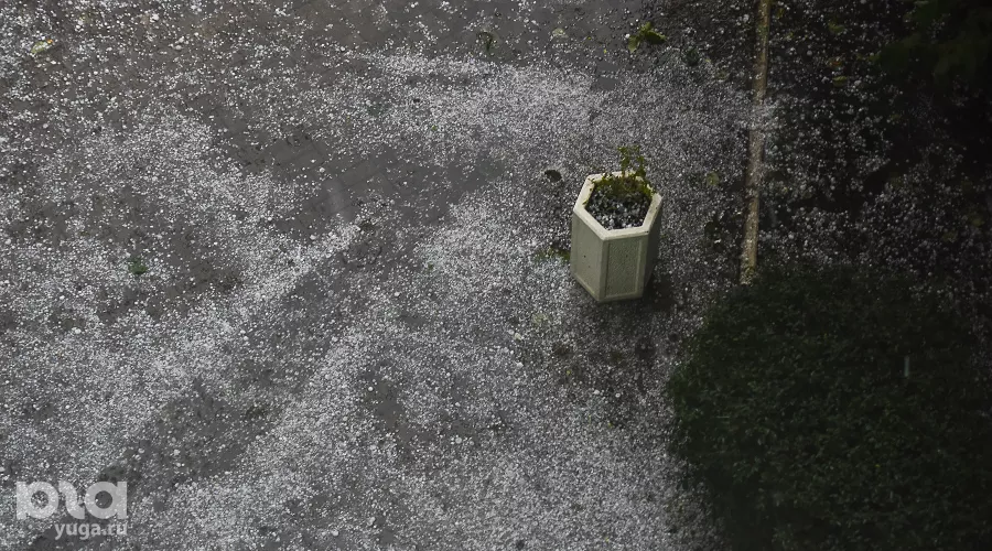  &copy;&nbsp;Фото Елены Синеок, Юга.ру