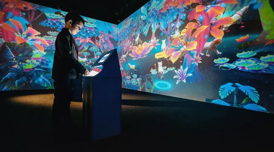 Мультимедийная «Галерея иллюзий» в «Сочи Парке» &copy;&nbsp;Фото пресс-службы &laquo;Сочи Парка&raquo;