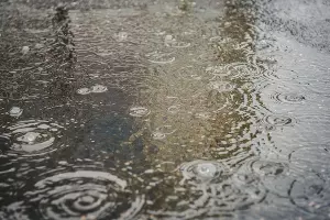  &copy;&nbsp;Фото Елены Синеок, Юга.ру