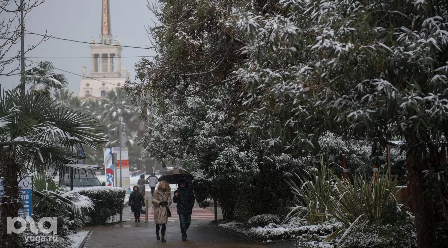 Снег в Сочи &copy;&nbsp;Фото Нины Зотиной, Юга.ру