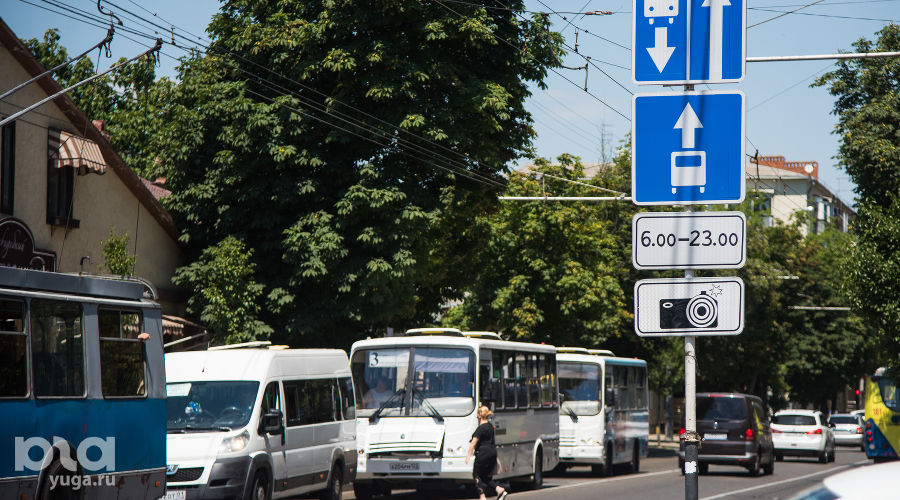  © Фото Елены Синеок, Юга.ру