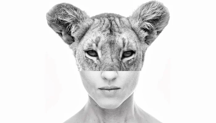  &copy;&nbsp;Фото из группы &laquo;Все как у зверей&raquo;, vk.com/vse_kak_u_zverey