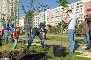  &copy;&nbsp;Фото пресс-службы администрации Краснодара