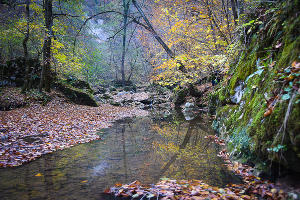 Водопады Руфабго в Адыгее &copy;&nbsp;Елена Синеок, ЮГА.ру
