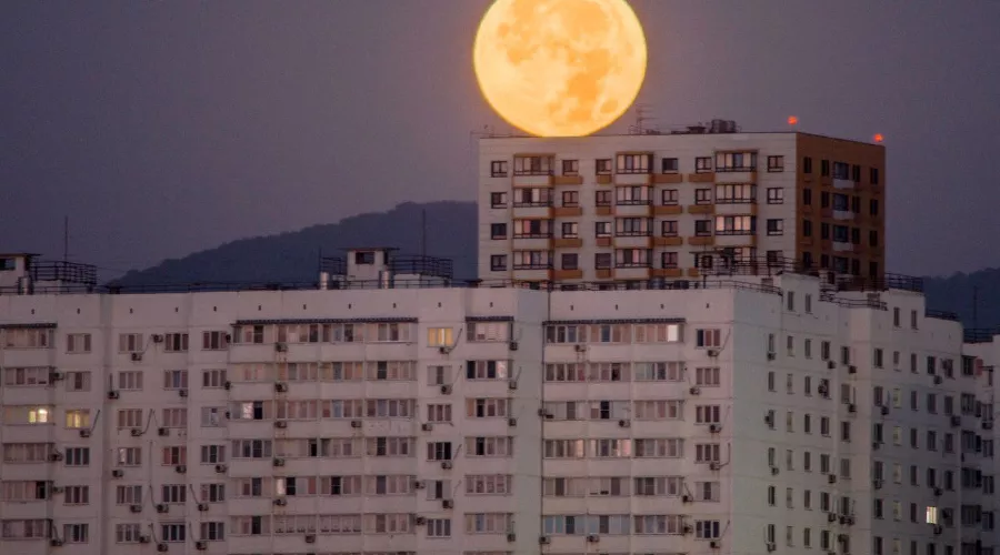  &copy;&nbsp;Фото Sega Black-Sea