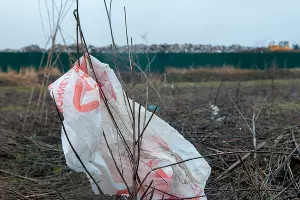  &copy;&nbsp;Фото Дмитрия Пославского, Юга.ру