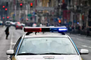  &copy;&nbsp;Фото с сайта pixabay.com