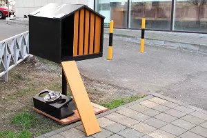  &copy;&nbsp;Фото Александра Кореневского