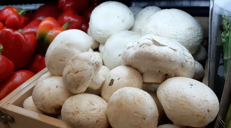  &copy;&nbsp;Фото Анны Петровой, Юга.ру