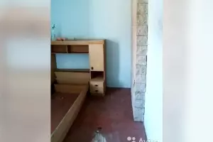  &copy;&nbsp;Скриншот объявления на &laquo;Авито&raquo;
