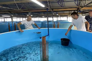  &copy;&nbsp;Фото Марии Ефимкиной