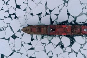 Кадр из трейлера фильма «В Арктику»  &copy;&nbsp;Скриншот видео с сайта &laquo;Кинопоиск&raquo;