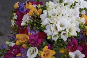  &copy;&nbsp;фото Андрея Малёваного