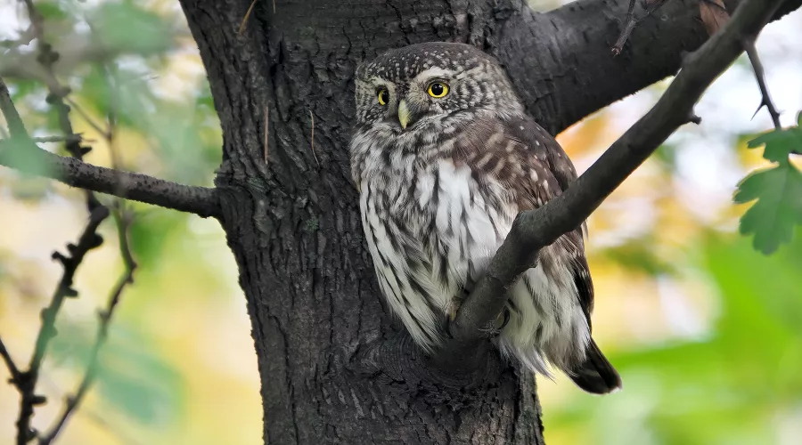  &copy;&nbsp;Фото пользователя Andrey Gulivanov с сайта unsplash.com