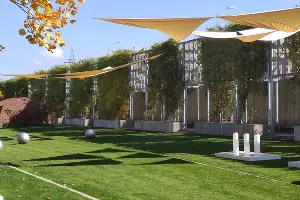  &copy;&nbsp;Фото Евгения Таранжина