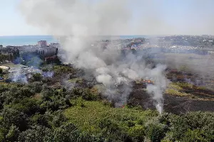  &copy;&nbsp;Фото со страницы instagram.com/cheh_rodion