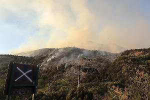 Пожар в заповеднике «Утриш» &copy;&nbsp;Фото Виталия Кавтарадзе