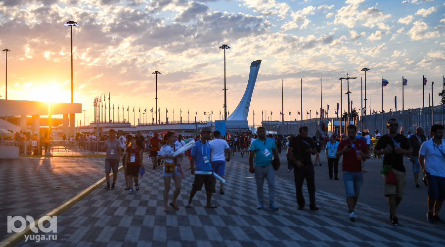  © Фото Елены Синеок, Юга.ру