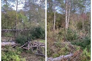  © Скриншот из телеграм-канала «Супер Новости Новороссийска» https://t.me/novosti_novoross/78494