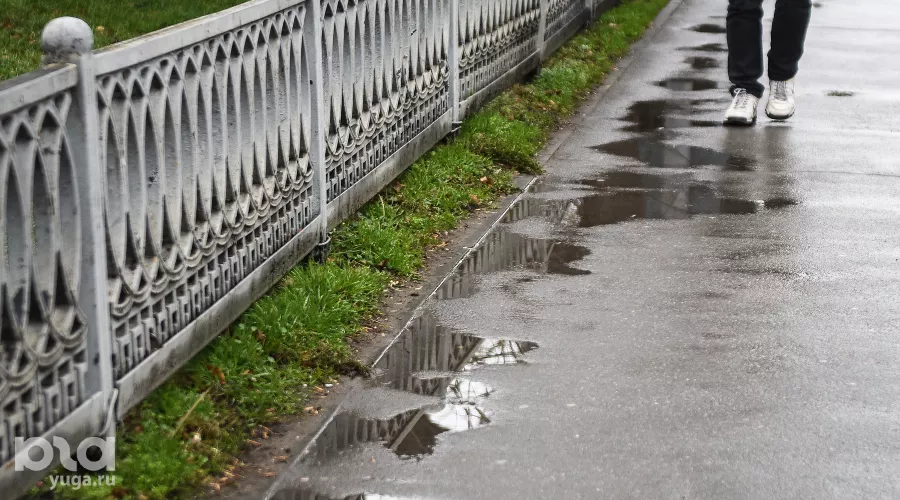  &copy;&nbsp;Фото Елены Синеок, Юга.ру