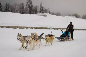 Тест-драйв SKODA Yeti в Красной Поляне &copy;&nbsp;Фото Елены Синеок, Юга.ру