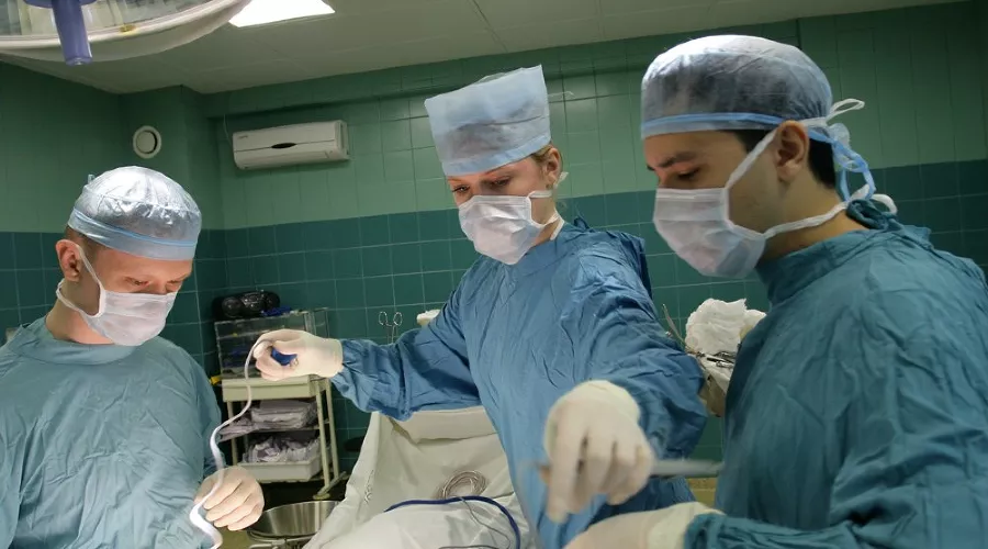  &copy;&nbsp;Пресс-служба администрации Краснодарского края