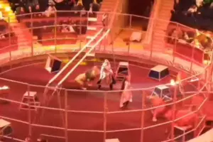  &copy;&nbsp;Кадр видео из телеграм-канала Алексея Макаренко, https://t.me/vsadahrivendella