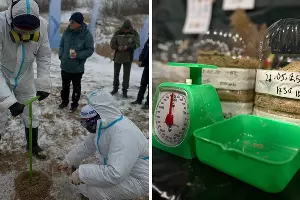  &copy;&nbsp;Скриншоты фото из телеграм-канала &laquo;Движение экосистемы&raquo; https://t.me/ecosystem_official/3702