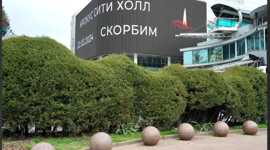  &copy;&nbsp;Скриншот из телеграм-канала мэра Сочи Алексея Копайгородского https://t.me/AlekseiKopaigorodskii/15428