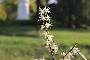  &copy;&nbsp;Фото пресс-службы Сочинского национального парка