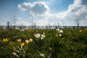 Парк «Краснодар»  &copy;&nbsp;Фото Елены Синеок, Юга.ру