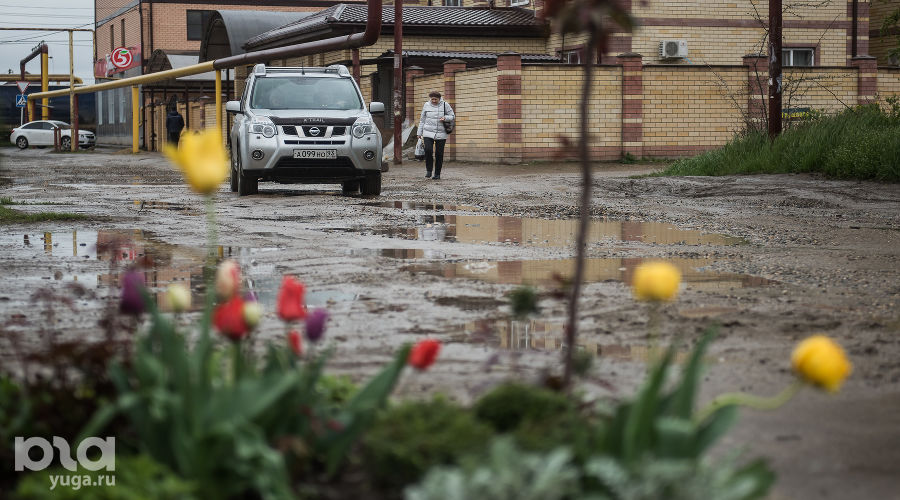  &copy;&nbsp;Фото Елены Синеок, Юга.ру