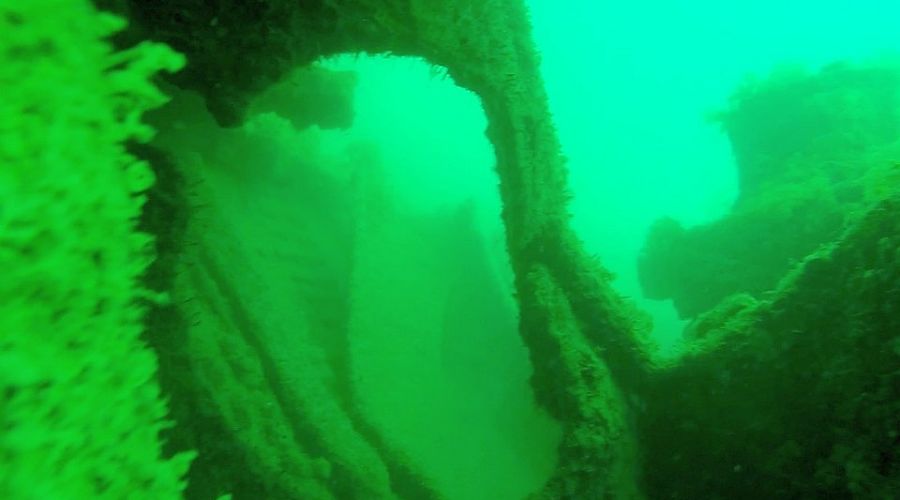  © Фото пресс-службы СевГУ